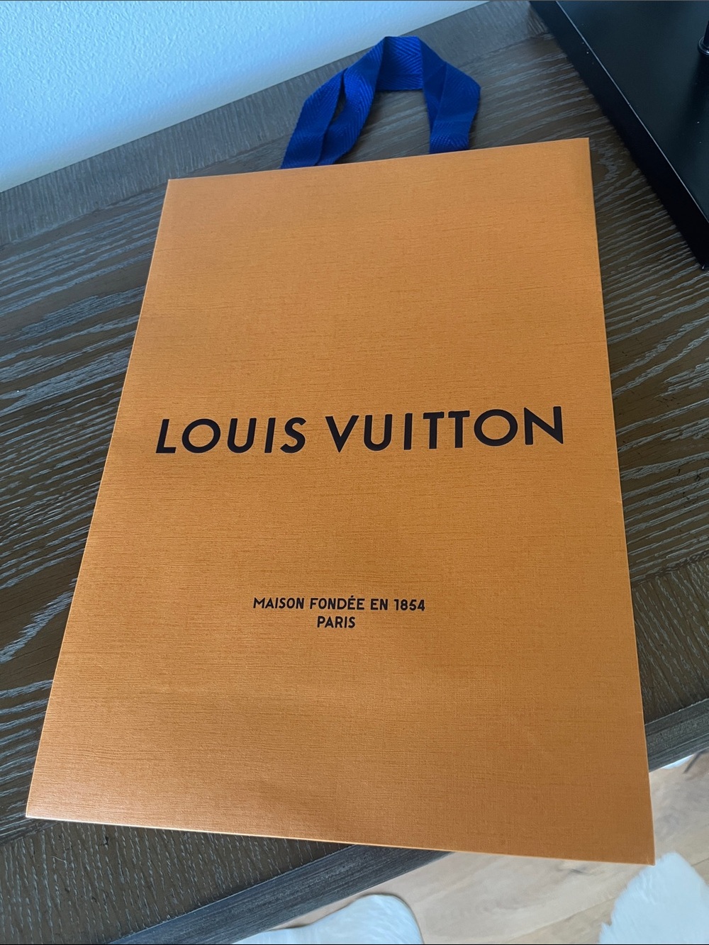 Louis Vuitton Gift Bag - Picture 2 of 4